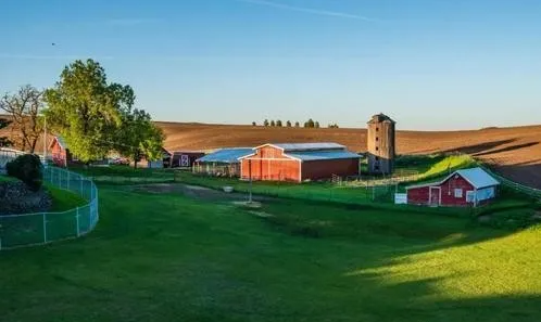 FireShot Capture 004 - 50万投资购买加拿大农场,既能移民又能赚钱你有兴趣吗? - mp.weixin.qq.com